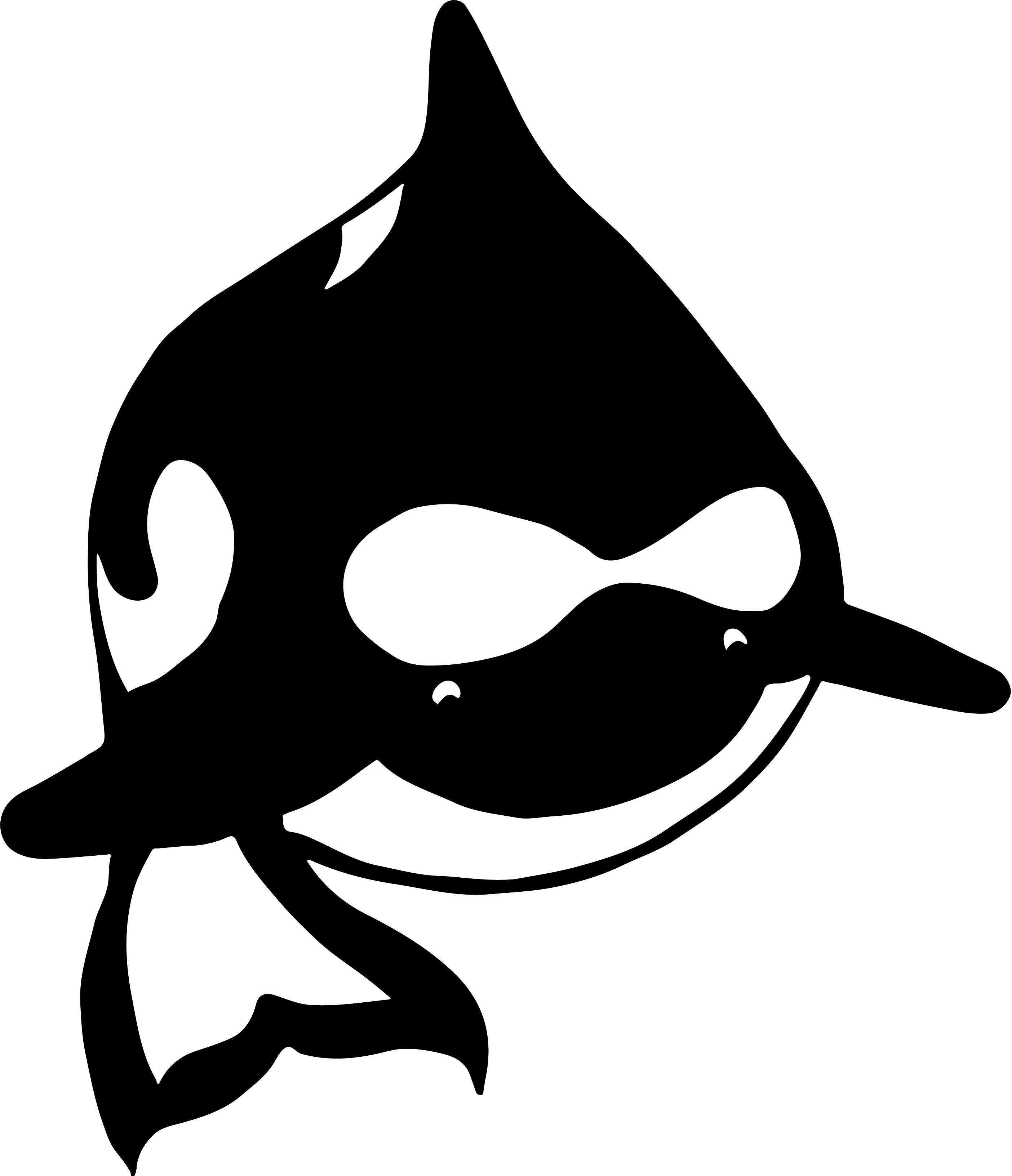 SeaDUG Orca